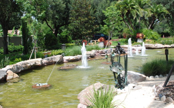 Trader Joe’s Turtle Pond