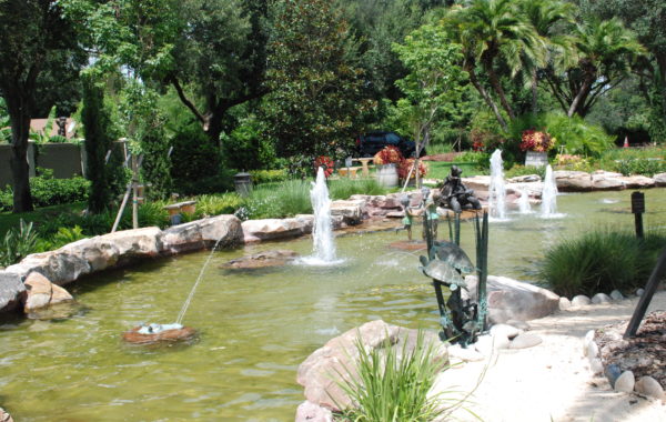 Trader Joe’s Turtle Pond