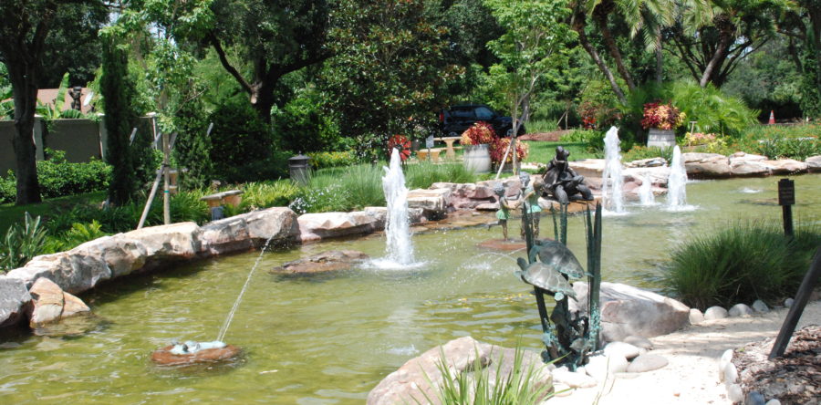 Trader Joe’s Turtle Pond